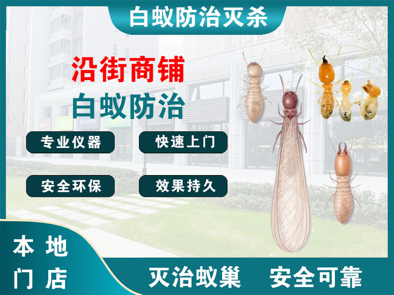 常熟市沿街商铺白蚁防治