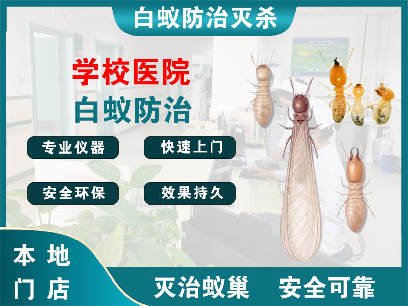 常熟市学校医院白蚁防治