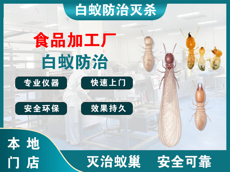 常熟市食品加工厂白蚁防治