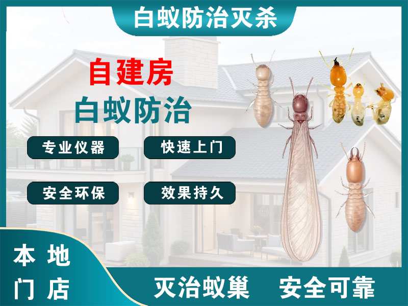 常熟市自建房白蚁防治