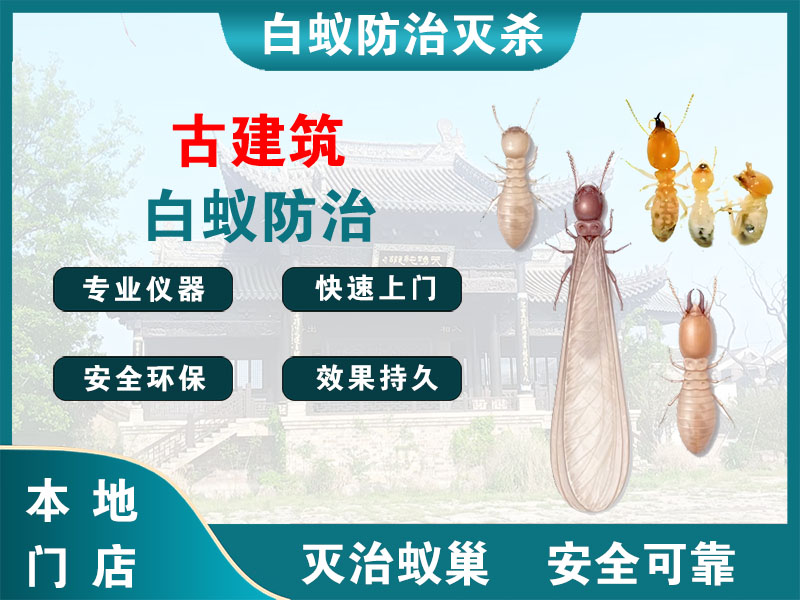 常熟市古建筑白蚁防治