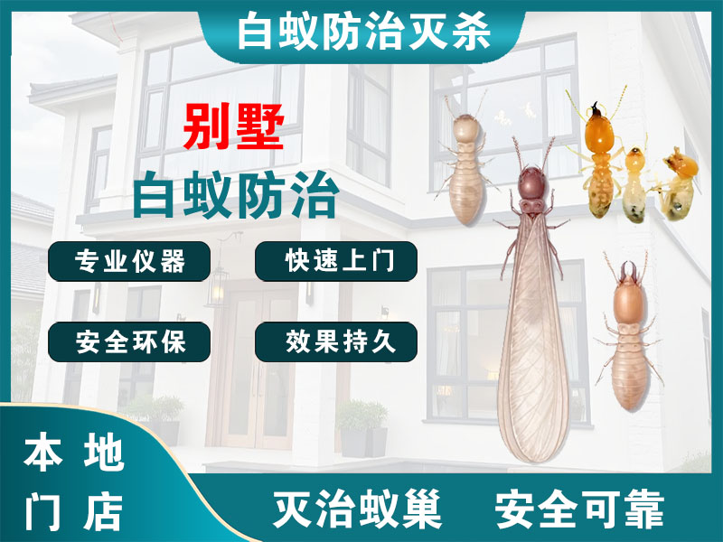 常熟市别墅白蚁防治